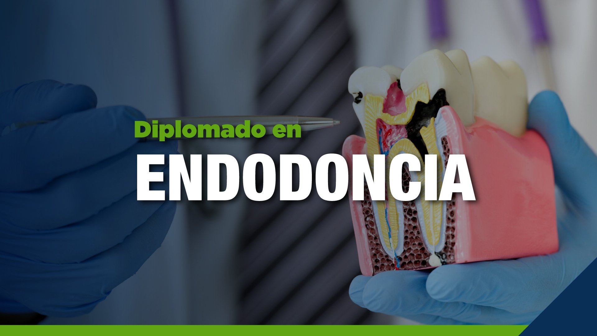 UCQ CMS DIPLOMADOS MINIATURAS_endodoncia