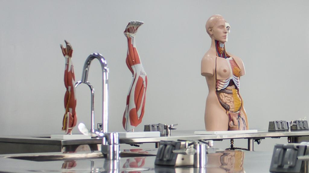 ucq CMS SECCIÓN fisioterapia_instalaciones 4